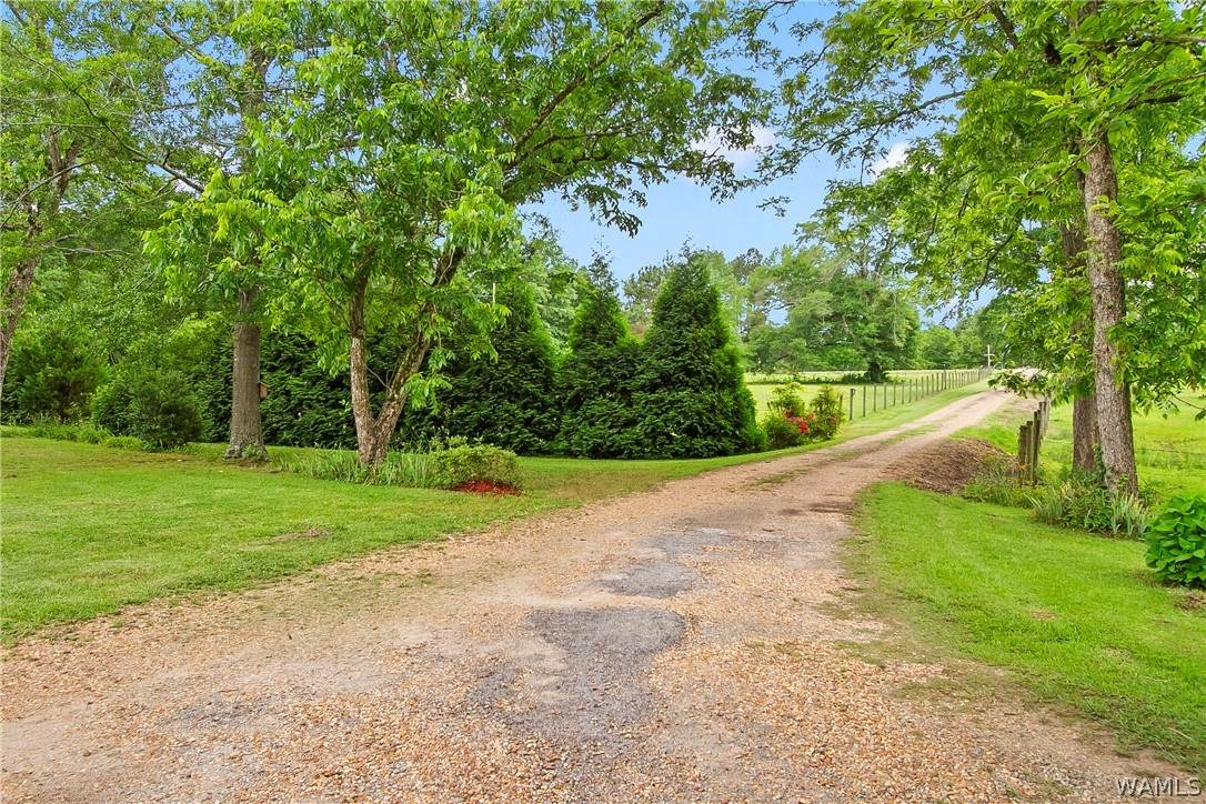 https://bt-photos.global.ssl.fastly.net/tuscaloosa/orig_boomver_1_175554-2.jpg