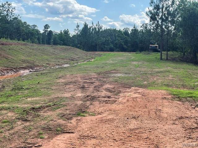 Lot 8 Longleaf - Photo 1