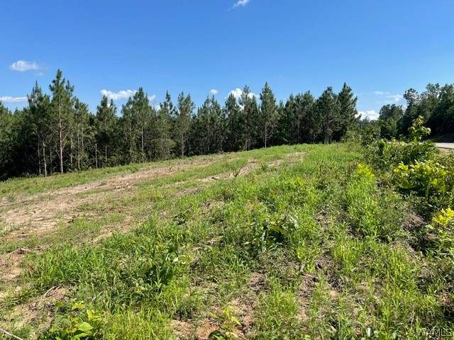 Lot 5 Longleaf - Photo 1