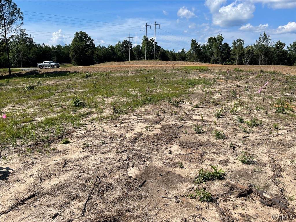 Lot 3 Longleaf - Photo 1