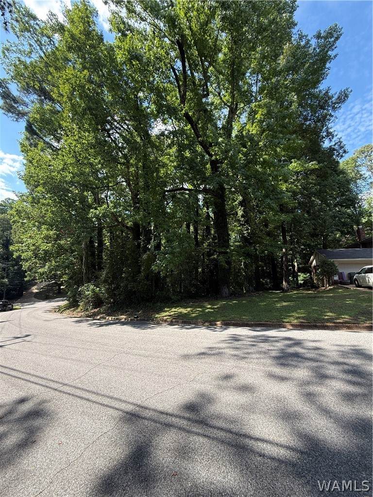 3005 Woodland Road - Photo 1