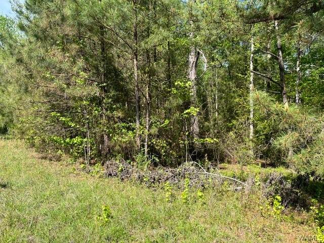 0 Doe Run Road - Photo 1