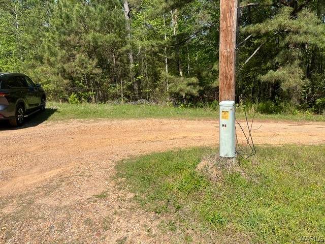 https://bt-photos.global.ssl.fastly.net/tuscaloosa/orig_boomver_1_175677-2.jpg