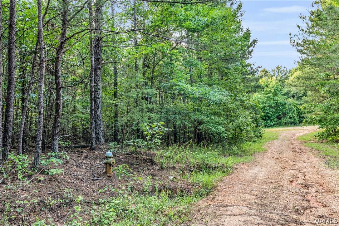 https://bt-photos.global.ssl.fastly.net/tuscaloosa/orig_boomver_1_175697-2.jpg