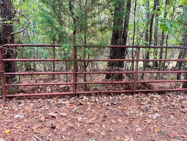 0000 Cedar Grove Road - Photo 1