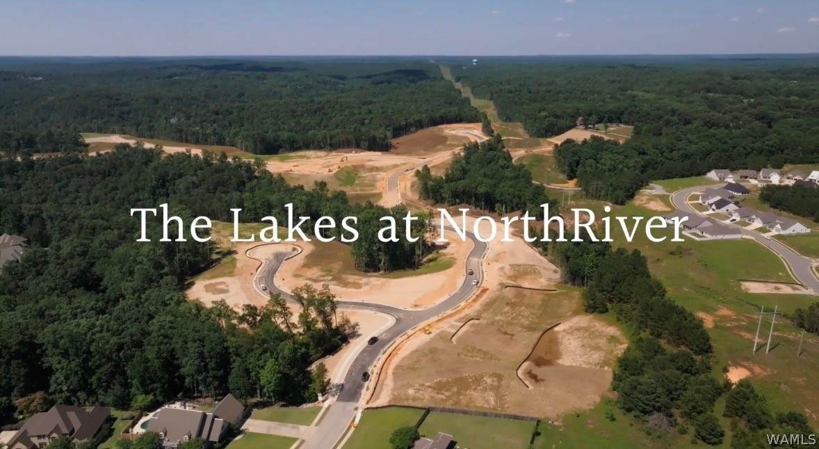 267 The Lakes At Northriver - Photo 1