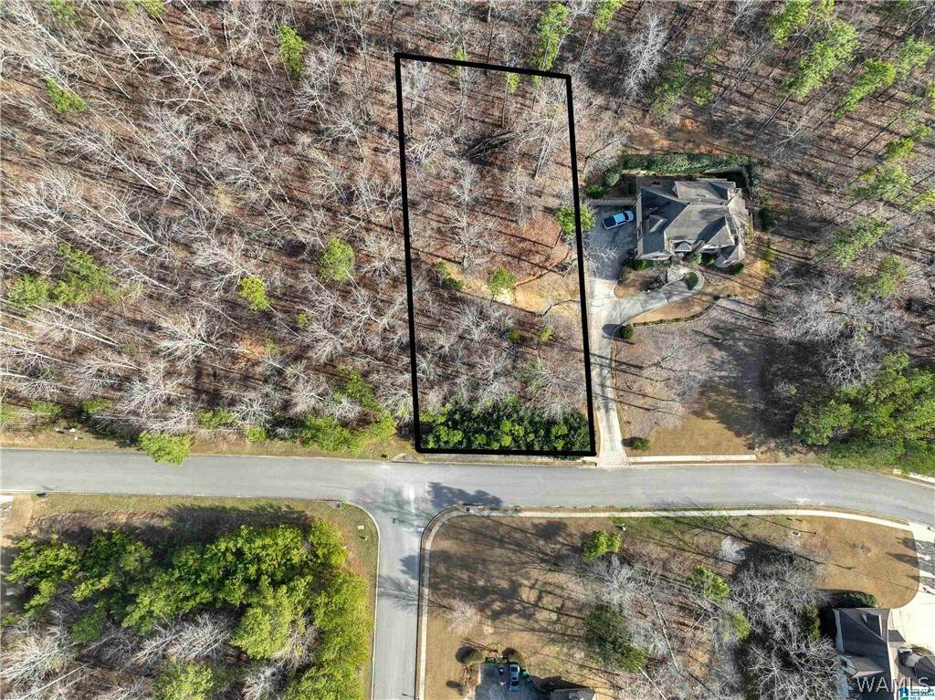 224 Normandy Lane - Photo 1