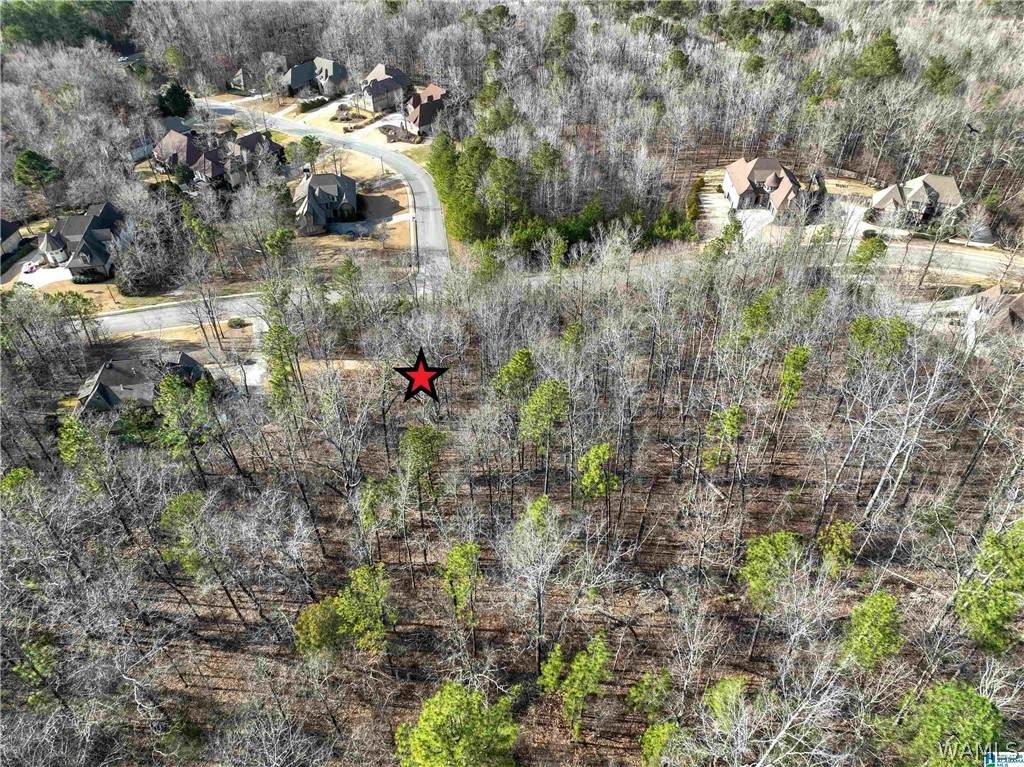 https://bt-photos.global.ssl.fastly.net/tuscaloosa/orig_boomver_1_175775-2.jpg