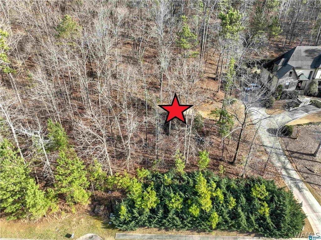 https://bt-photos.global.ssl.fastly.net/tuscaloosa/orig_boomver_1_175775-2.jpg