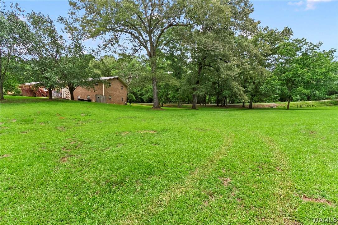 https://bt-photos.global.ssl.fastly.net/tuscaloosa/orig_boomver_1_175818-2.jpg