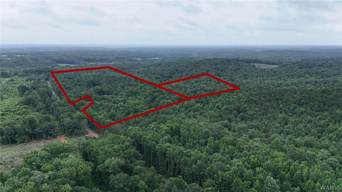 0 County Rd. 68 - Photo 1