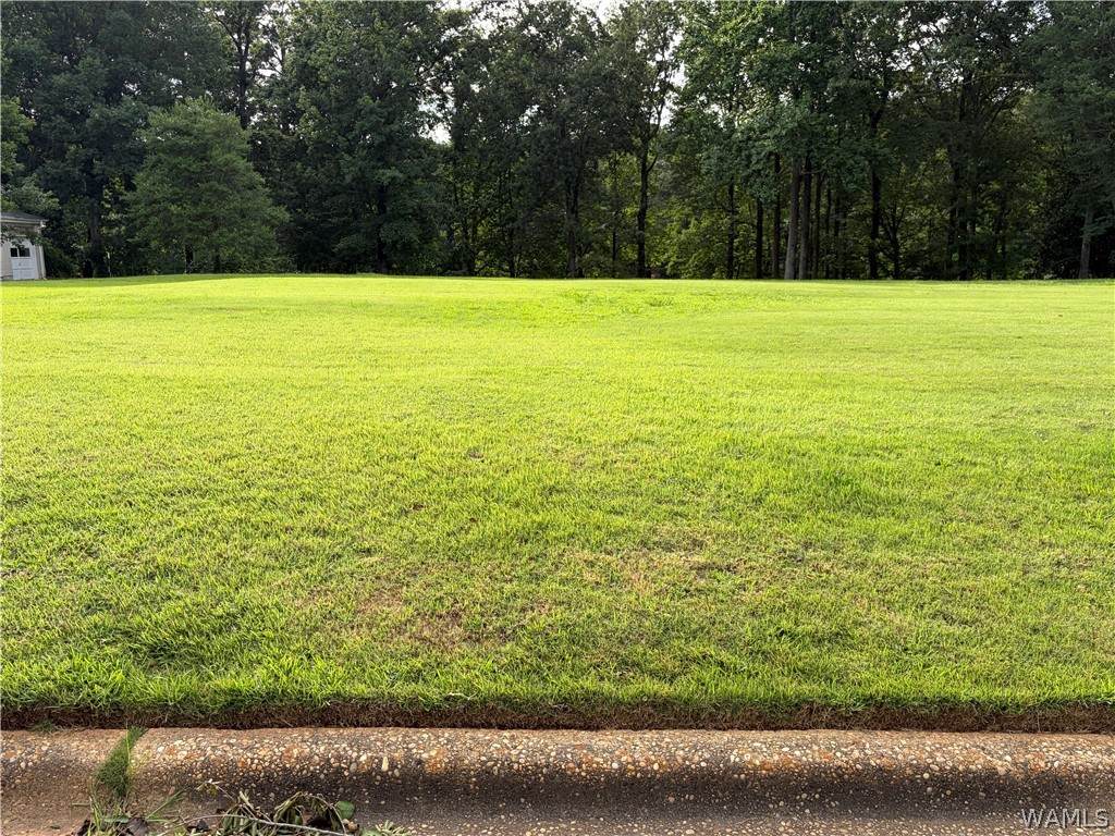 https://bt-photos.global.ssl.fastly.net/tuscaloosa/orig_boomver_1_175959-2.jpg