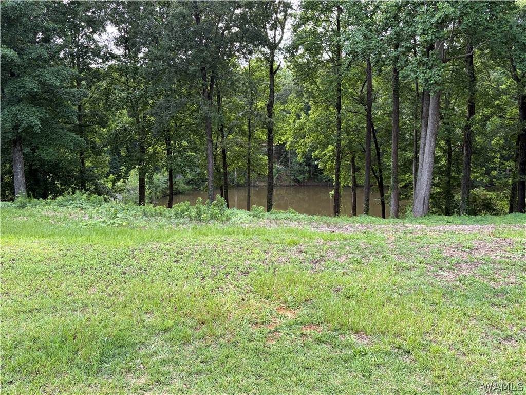 https://bt-photos.global.ssl.fastly.net/tuscaloosa/orig_boomver_1_175959-2.jpg