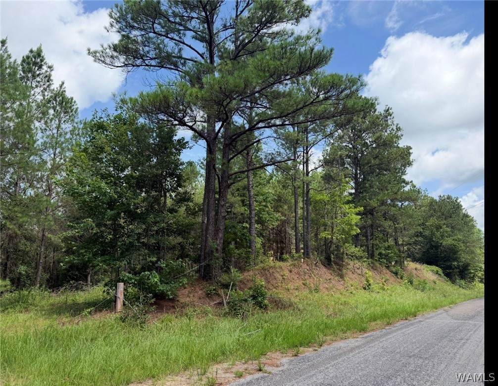0 County Road 100 - Photo 1