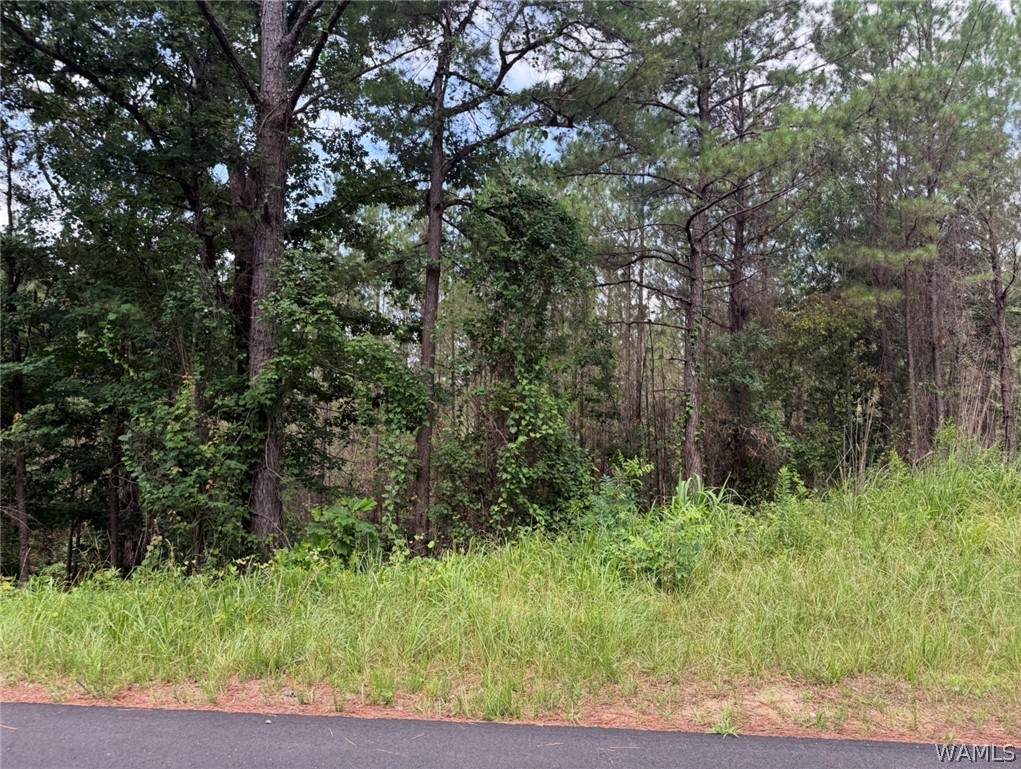 https://bt-photos.global.ssl.fastly.net/tuscaloosa/orig_boomver_1_176048-2.jpg