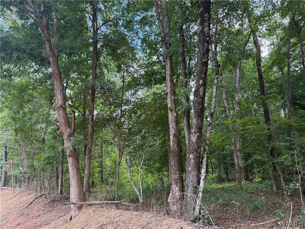 https://bt-photos.global.ssl.fastly.net/tuscaloosa/orig_boomver_1_176050-2.jpg