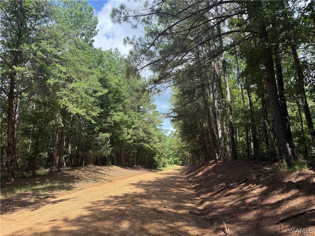 3 Samson Clements Loop Road - Photo 1