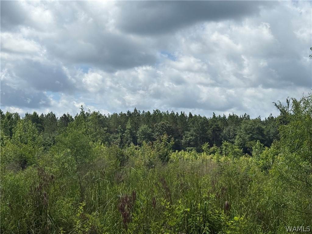 https://bt-photos.global.ssl.fastly.net/tuscaloosa/orig_boomver_1_176052-2.jpg