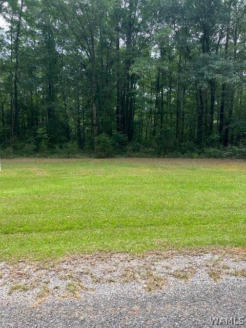 https://bt-photos.global.ssl.fastly.net/tuscaloosa/orig_boomver_1_176169-2.jpg