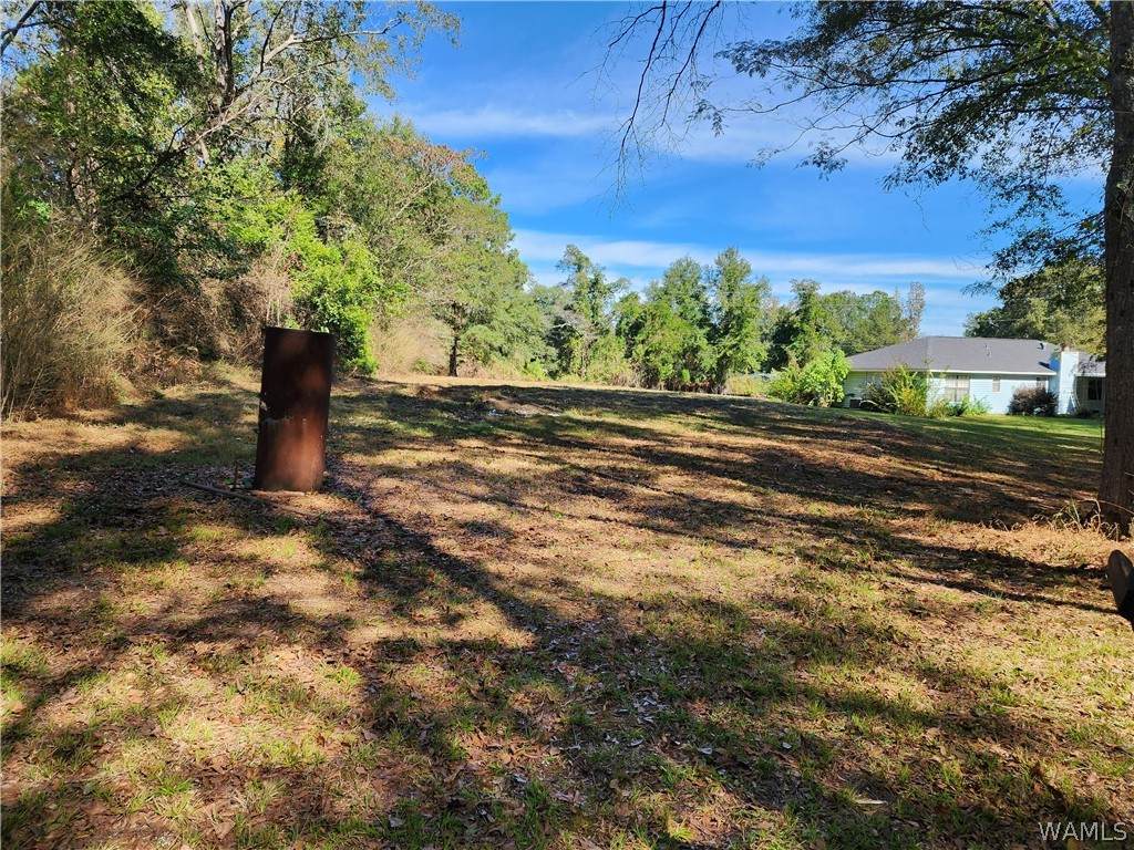 0 Hurricane Road - Photo 1