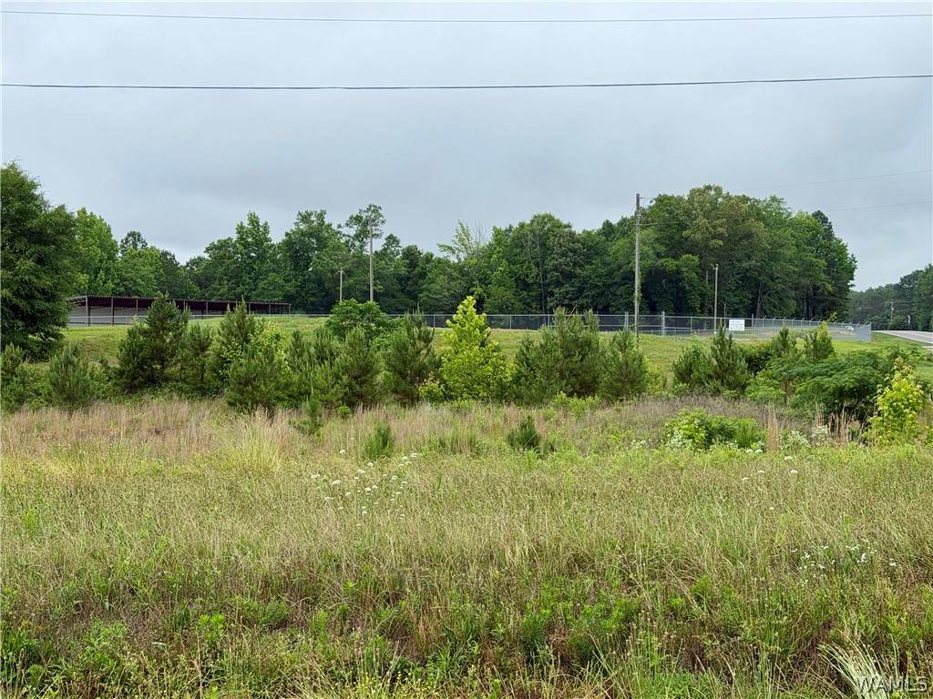 0 Fondren Road - Photo 1