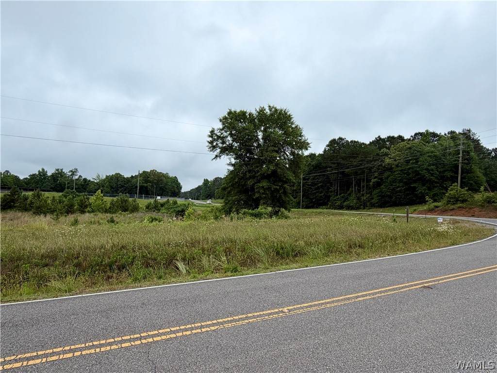 https://bt-photos.global.ssl.fastly.net/tuscaloosa/orig_boomver_1_176205-2.jpg