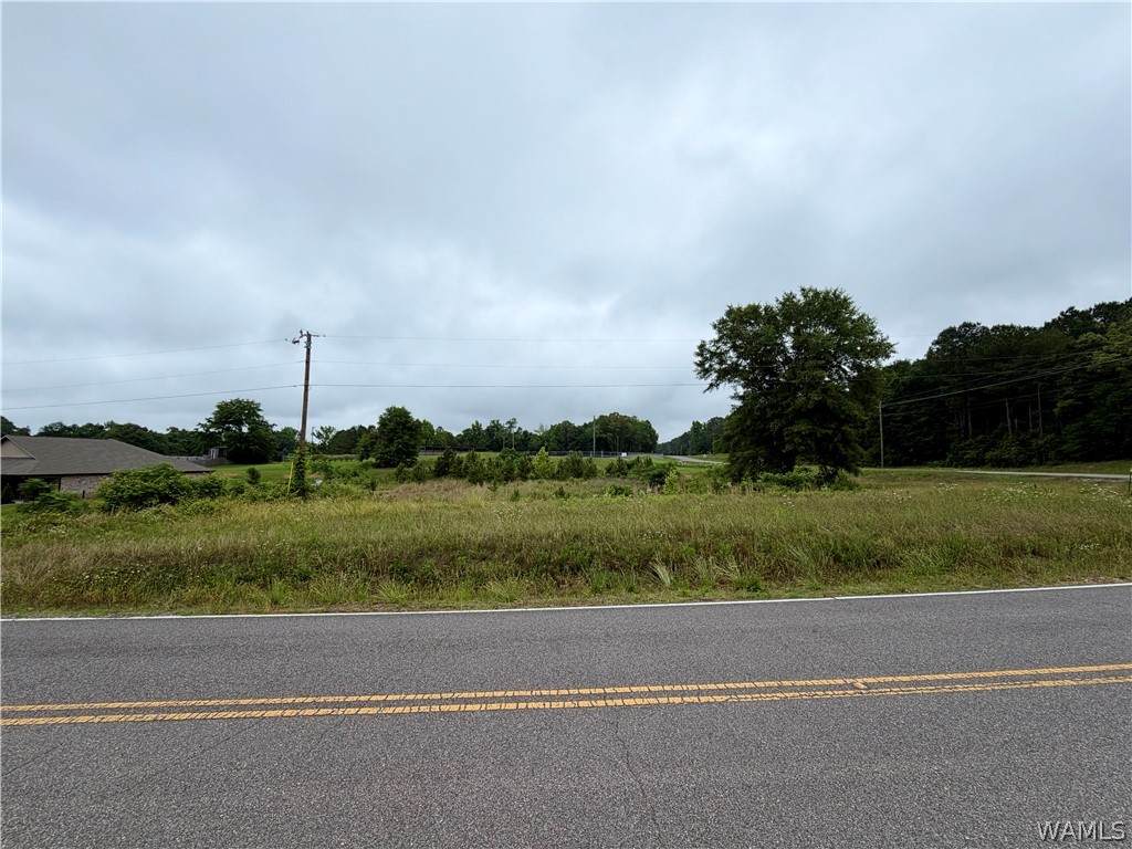 https://bt-photos.global.ssl.fastly.net/tuscaloosa/orig_boomver_1_176205-2.jpg
