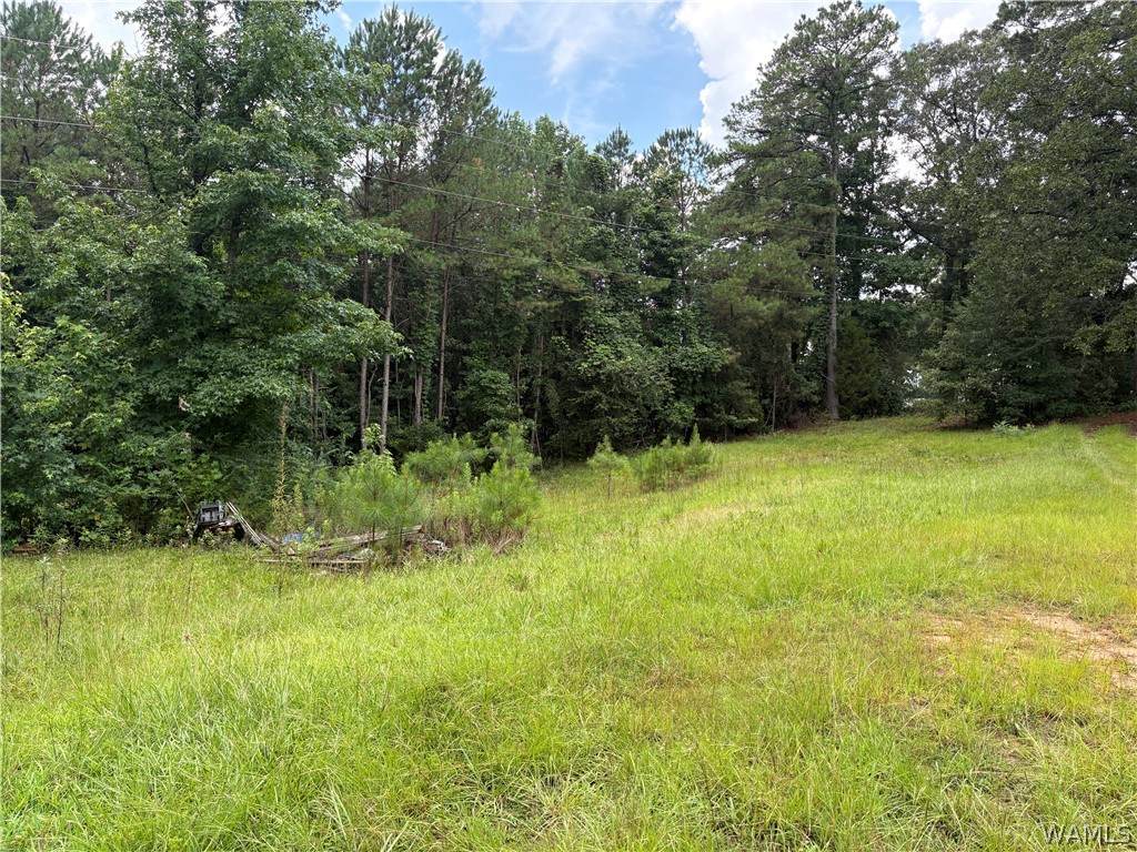 https://bt-photos.global.ssl.fastly.net/tuscaloosa/orig_boomver_1_176206-2.jpg