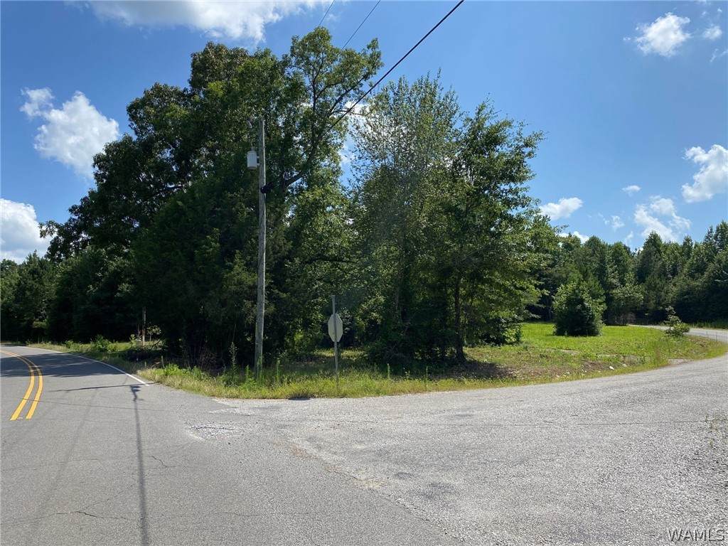 21876 Gorgas Road - Photo 1