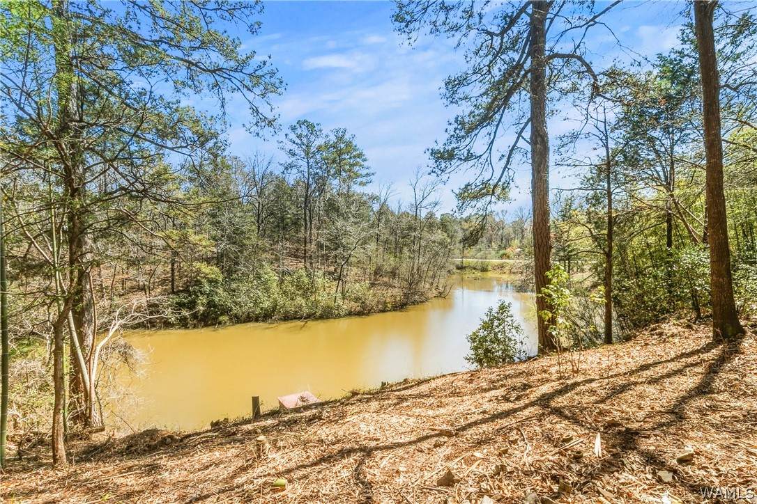 https://bt-photos.global.ssl.fastly.net/tuscaloosa/orig_boomver_1_176255-2.jpg