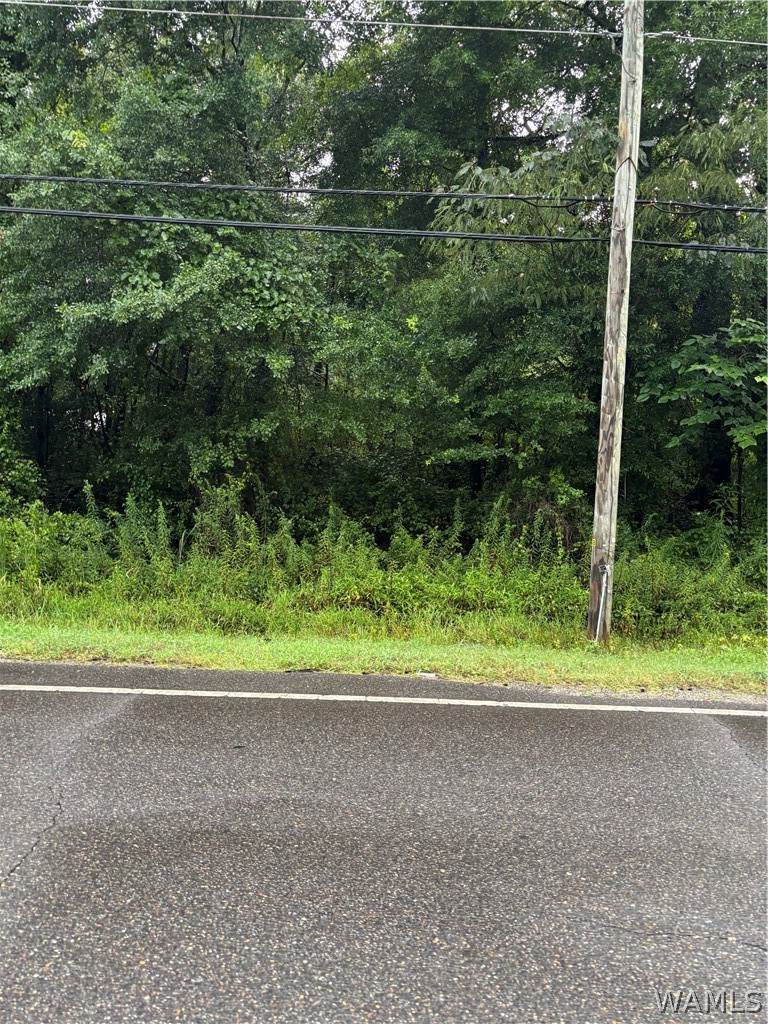 10848 Old Greensboro Road - Photo 1