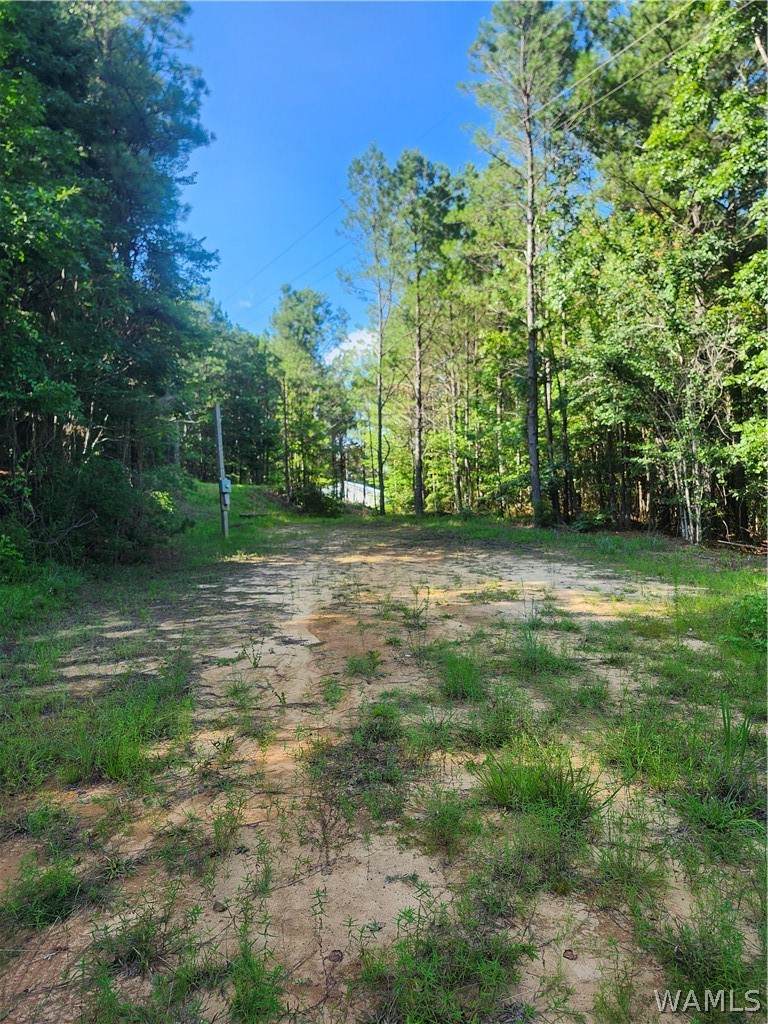 https://bt-photos.global.ssl.fastly.net/tuscaloosa/orig_boomver_1_176385-2.jpg