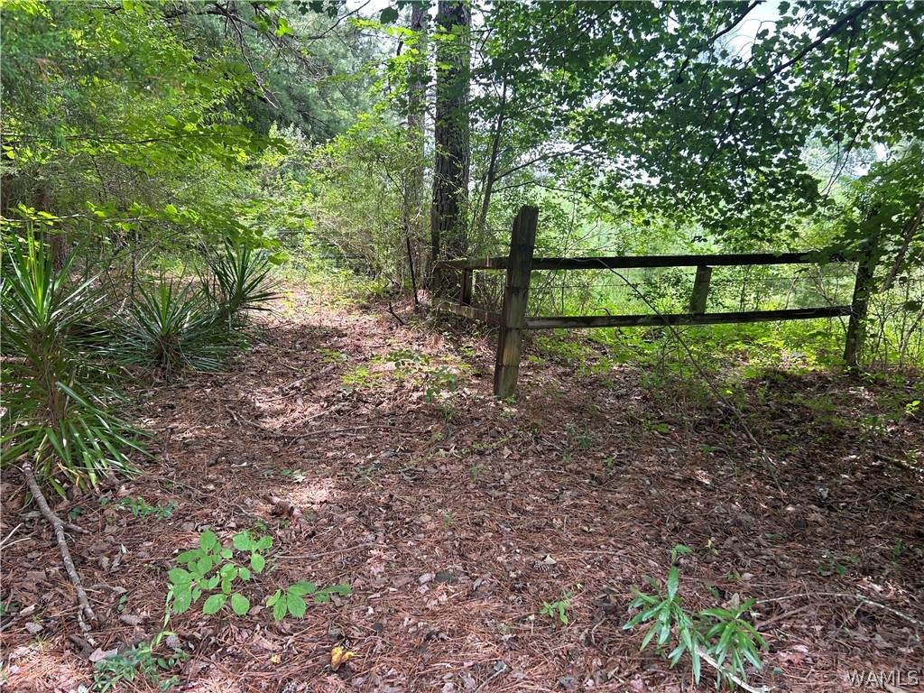 https://bt-photos.global.ssl.fastly.net/tuscaloosa/orig_boomver_1_176386-2.jpg