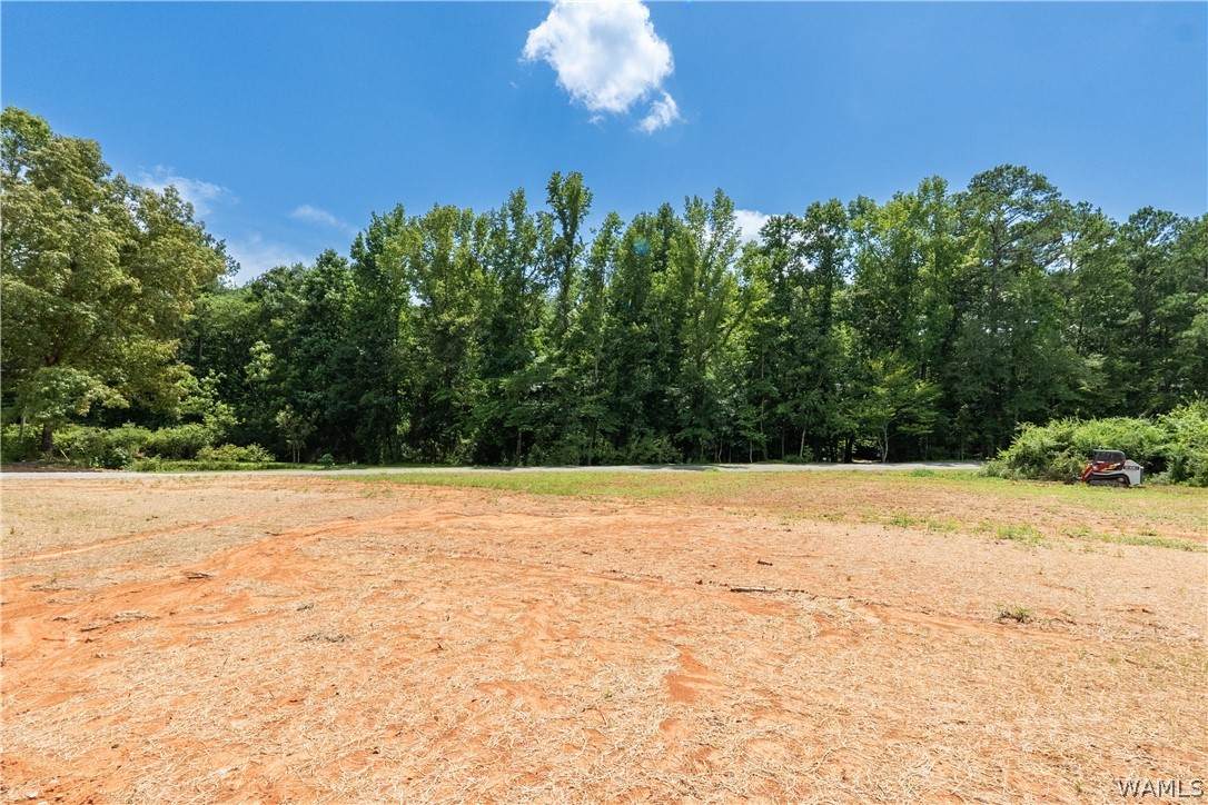 https://bt-photos.global.ssl.fastly.net/tuscaloosa/orig_boomver_1_176438-2.jpg