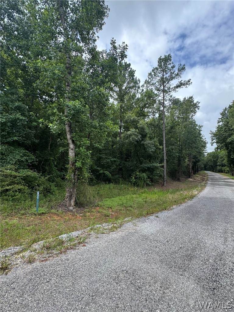 0 Old Marion Road - Photo 1
