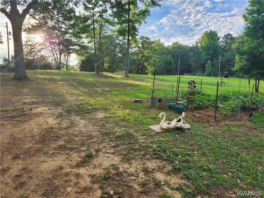 18700 Bigham Loop Road - Photo 1