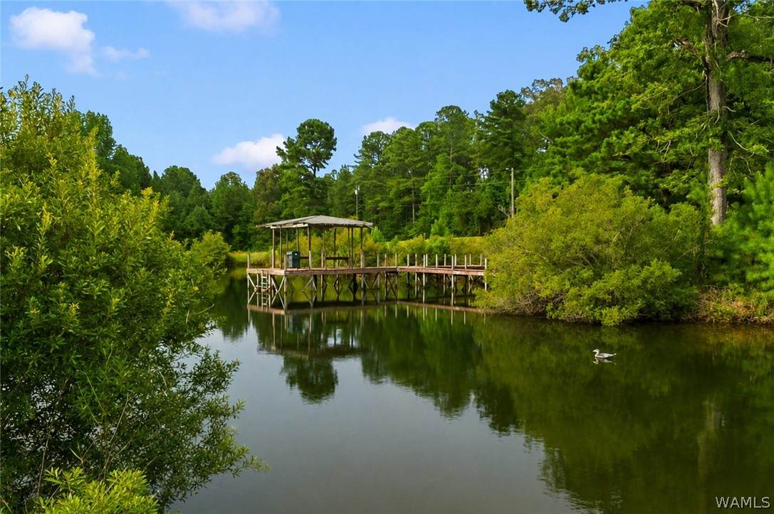https://bt-photos.global.ssl.fastly.net/tuscaloosa/orig_boomver_1_176548-2.jpg