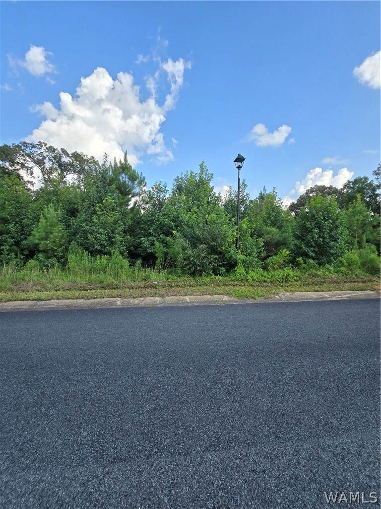 11696 Elam Drive - Photo 1
