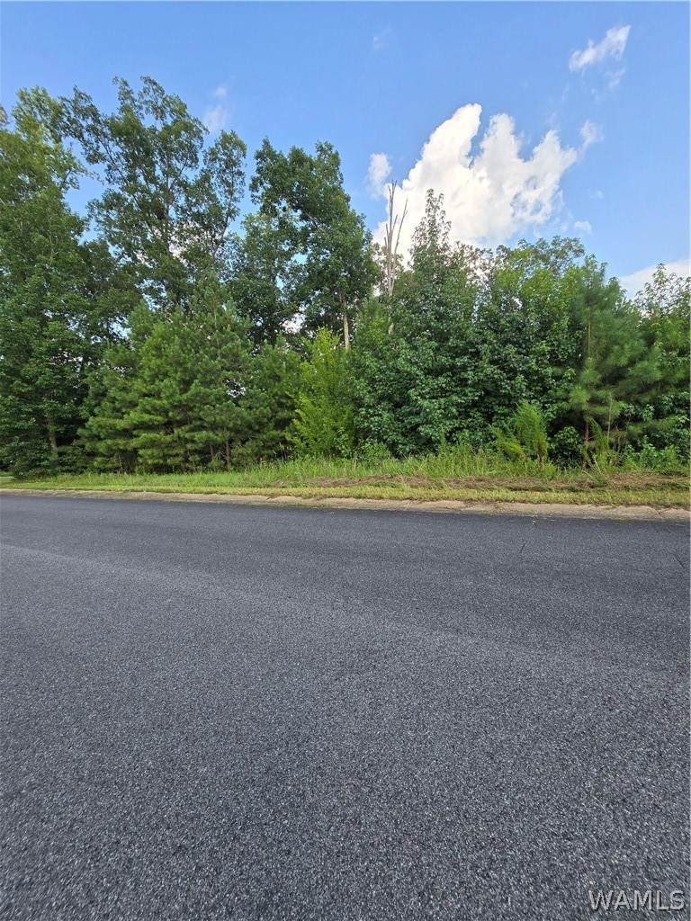 11700 Elam Drive - Photo 1