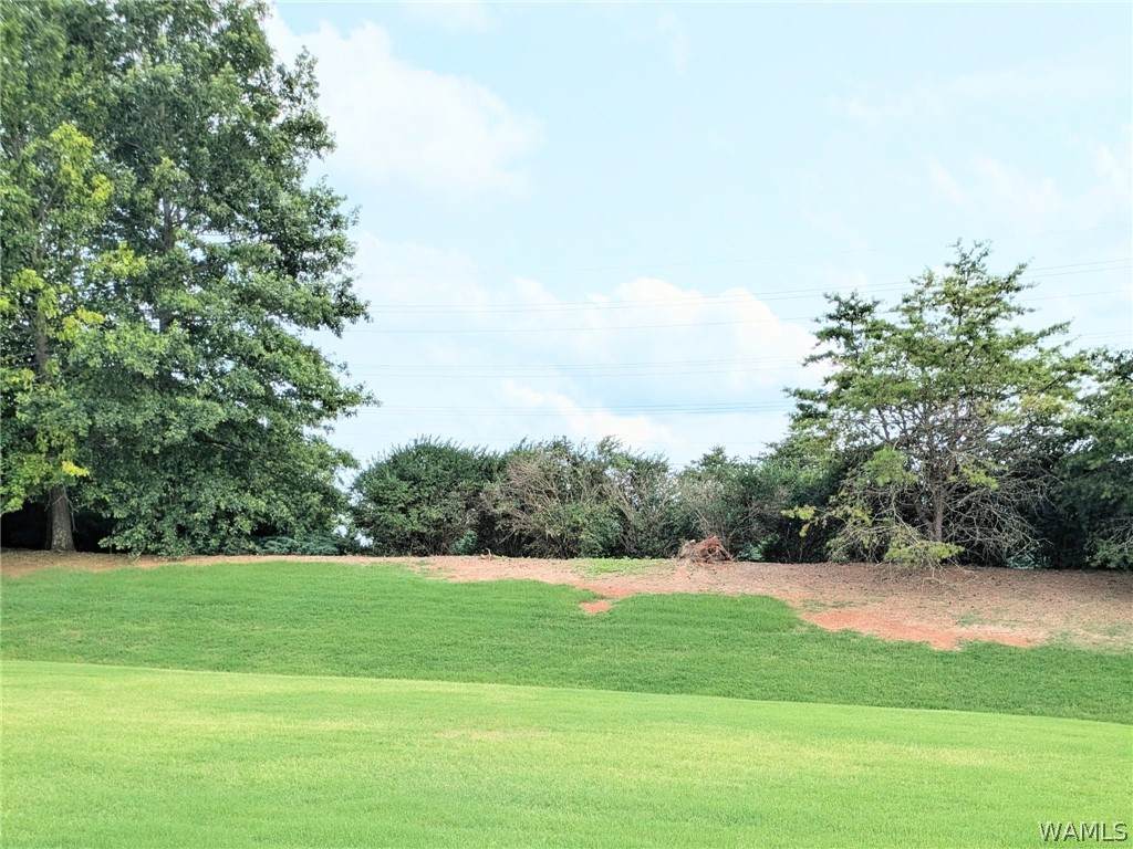 https://bt-photos.global.ssl.fastly.net/tuscaloosa/orig_boomver_1_176634-2.jpg