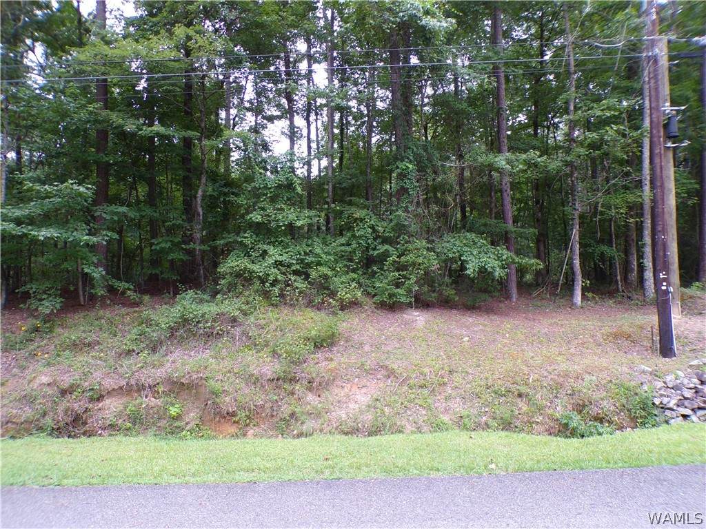 0 Berry Circle Nw - Photo 1