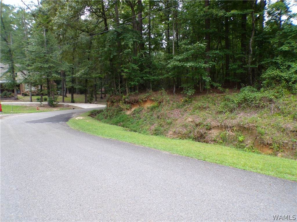 https://bt-photos.global.ssl.fastly.net/tuscaloosa/orig_boomver_1_176635-2.jpg