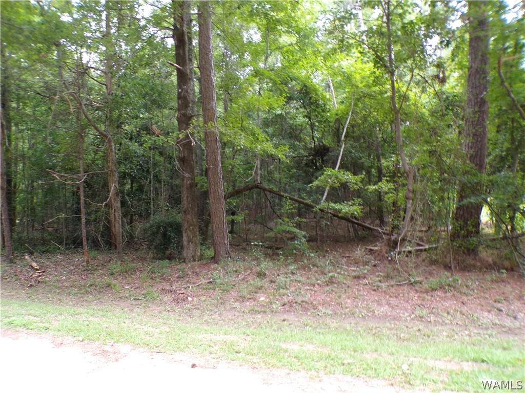 https://bt-photos.global.ssl.fastly.net/tuscaloosa/orig_boomver_1_176636-2.jpg