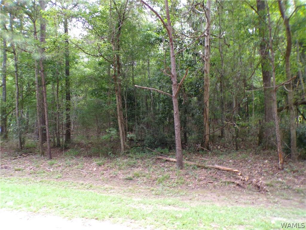 https://bt-photos.global.ssl.fastly.net/tuscaloosa/orig_boomver_1_176636-2.jpg