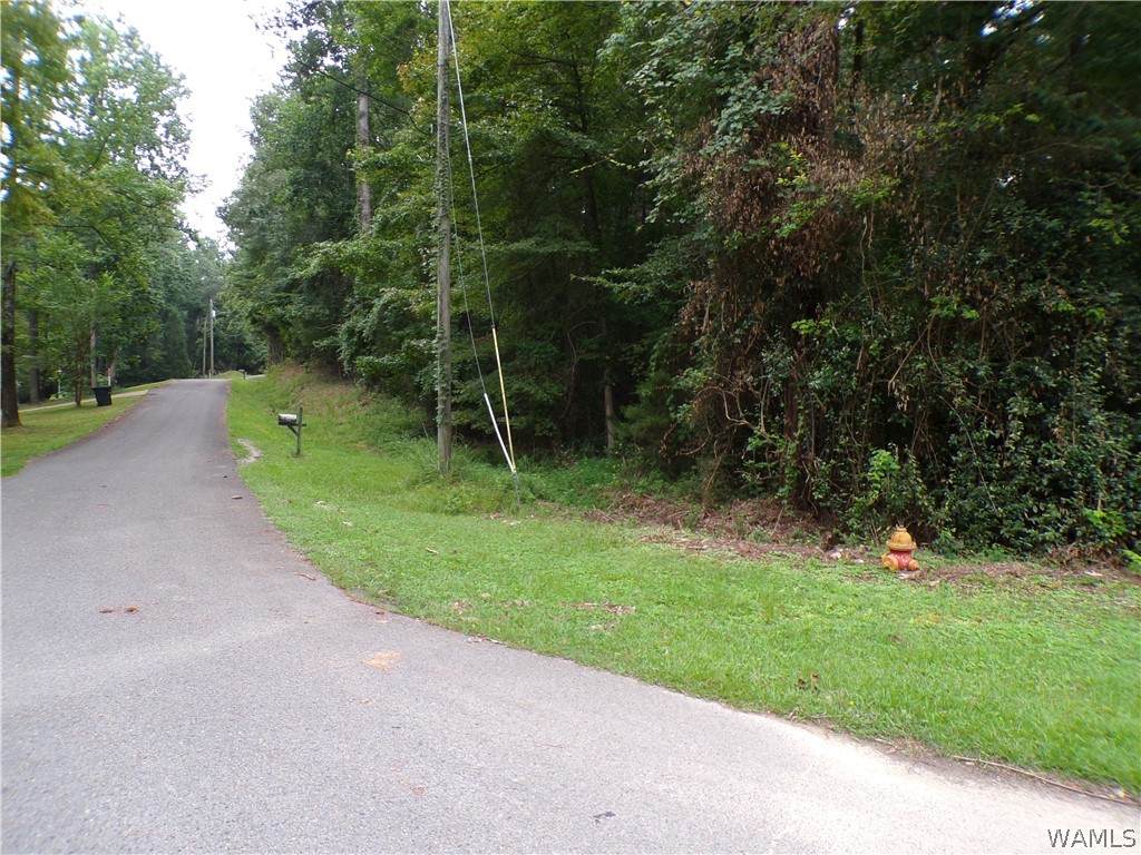 000 Berry Circle - Photo 1