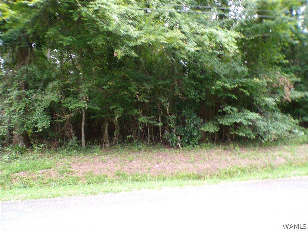 https://bt-photos.global.ssl.fastly.net/tuscaloosa/orig_boomver_1_176637-2.jpg