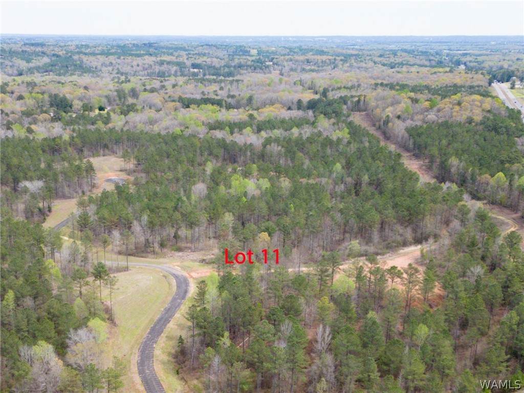 https://bt-photos.global.ssl.fastly.net/tuscaloosa/orig_boomver_1_176674-2.jpg