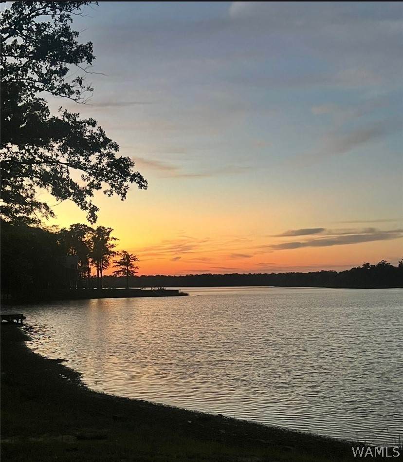 https://bt-photos.global.ssl.fastly.net/tuscaloosa/orig_boomver_1_176677-2.jpg