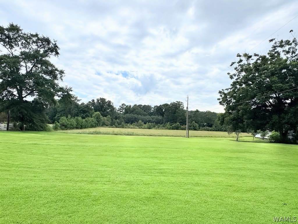 https://bt-photos.global.ssl.fastly.net/tuscaloosa/orig_boomver_1_176700-2.jpg