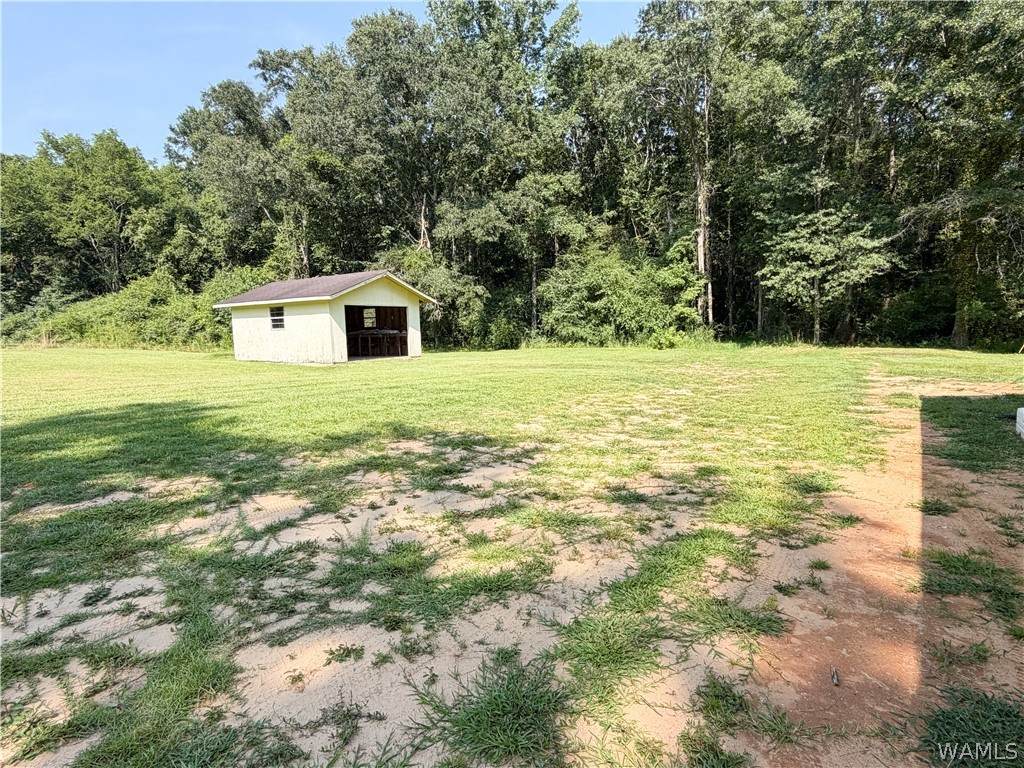 https://bt-photos.global.ssl.fastly.net/tuscaloosa/orig_boomver_1_176731-2.jpg